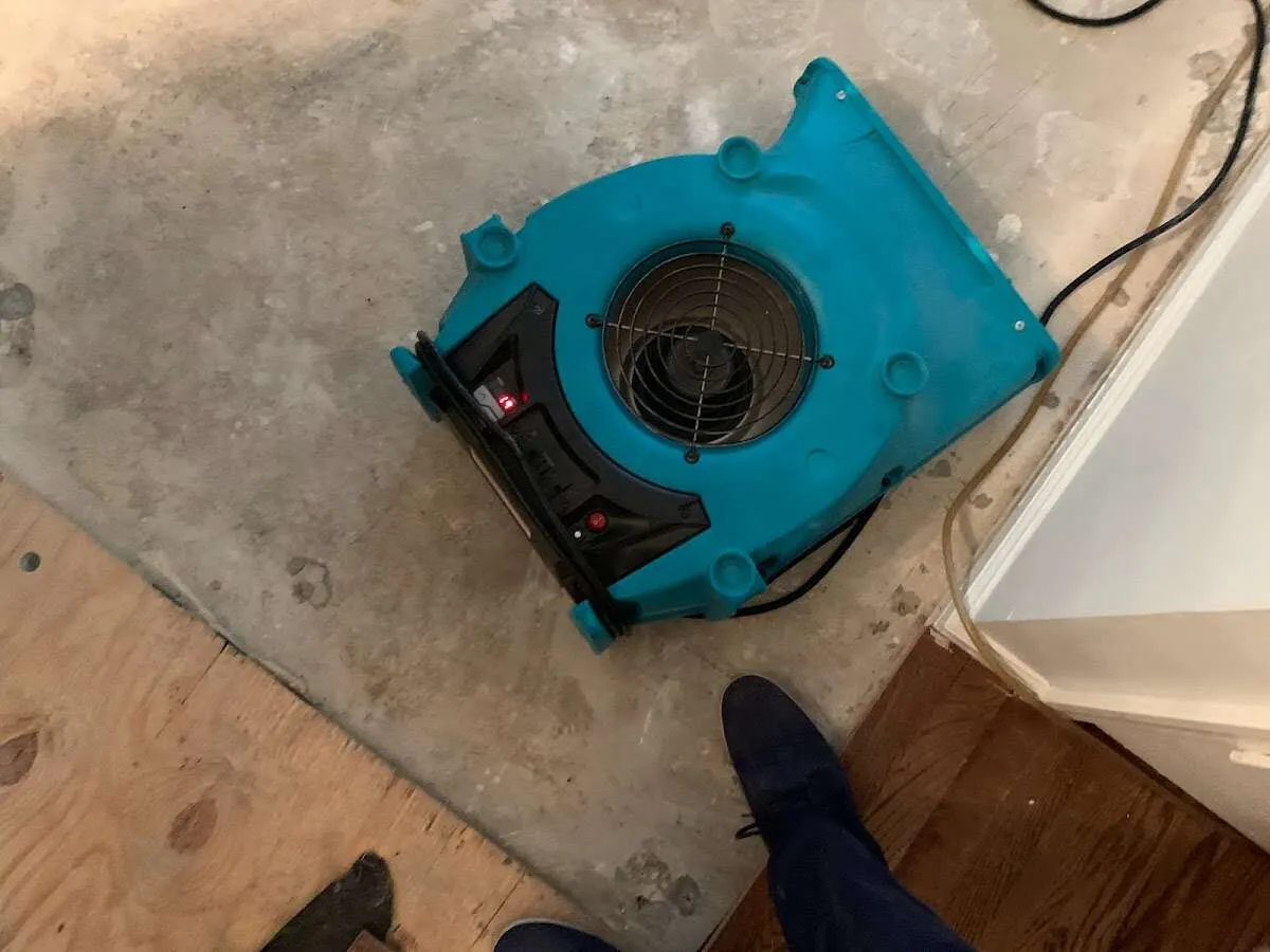 Air mover drying subfloor during Leak Detection & Repair in Elma